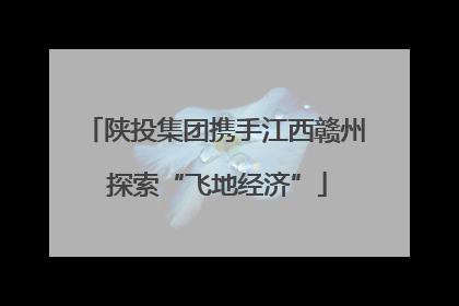陕投集团携手江西赣州 探索“飞地经济”