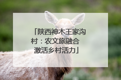 陕西神木王家沟村：农文旅融合 激活乡村活力