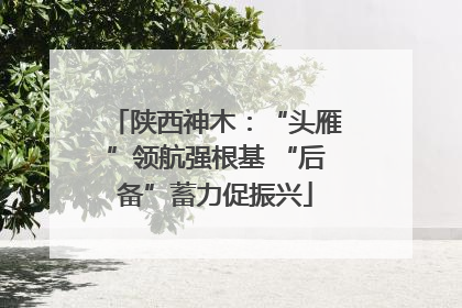 陕西神木：“头雁”领航强根基 “后备”蓄力促振兴
