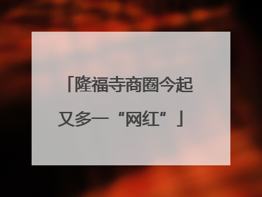 隆福寺商圈今起又多一“网红”