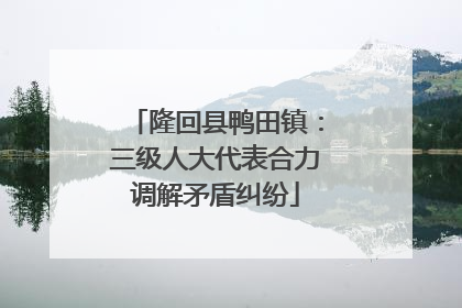 隆回县鸭田镇：三级人大代表合力调解矛盾纠纷