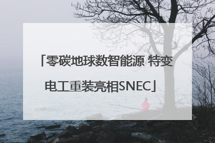 零碳地球数智能源 特变电工重装亮相SNEC