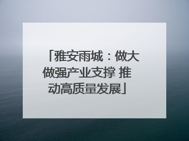 雅安雨城：做大做强产业支撑 推动高质量发展