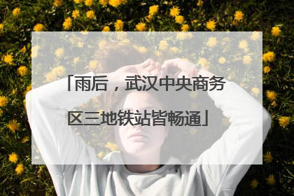 雨后，武汉中央商务区三地铁站皆畅通
