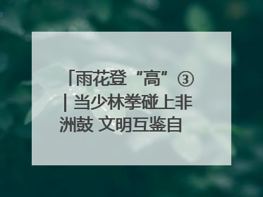 雨花登“高”③｜当少林拳碰上非洲鼓 文明互鉴自有动人韵律