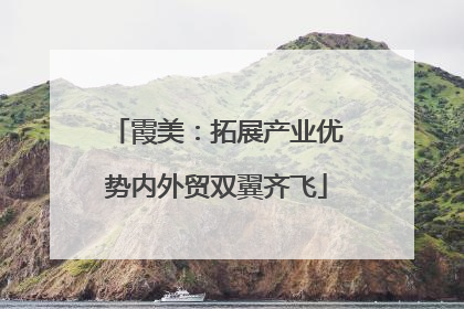 霞美：拓展产业优势内外贸双翼齐飞