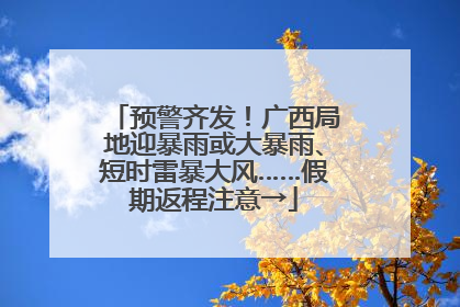 预警齐发！广西局地迎暴雨或大暴雨、短时雷暴大风……假期返程注意→
