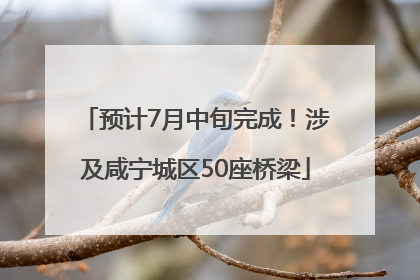 预计7月中旬完成！涉及咸宁城区50座桥梁