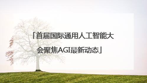 首届国际通用人工智能大会聚焦AGI最新动态