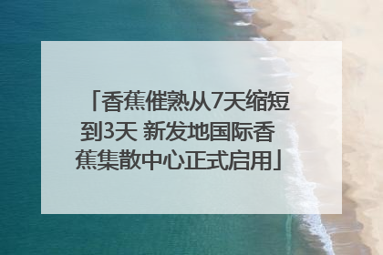 香蕉催熟从7天缩短到3天 新发地国际香蕉集散中心正式启用