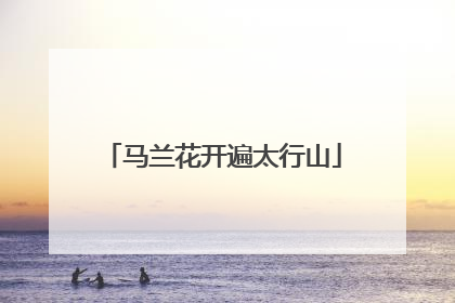 马兰花开遍太行山