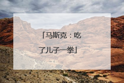 马斯克：吃了儿子一拳
