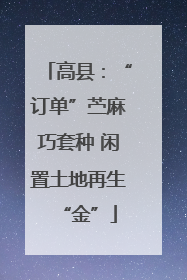 高县：“订单”苎麻巧套种 闲置土地再生“金”