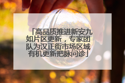 高品质推进新安九如片区更新，专家团队为汉正街市场区域有机更新把脉问诊