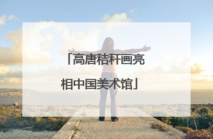 高唐秸秆画亮相中国美术馆