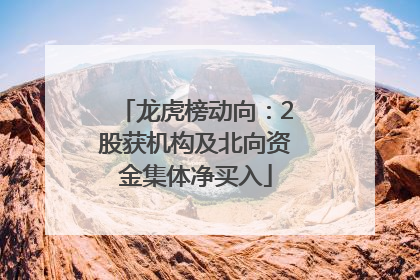 龙虎榜动向：2股获机构及北向资金集体净买入