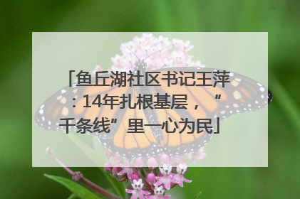鱼丘湖社区书记王萍：14年扎根基层，“千条线”里一心为民