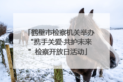 鹤壁市检察机关举办“携手关爱·共护未来”检察开放日活动