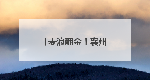麦浪翻金！襄州区开启小麦收割“智能模式”