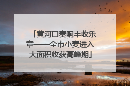 黄河口奏响丰收乐章——全市小麦进入大面积收获高峰期