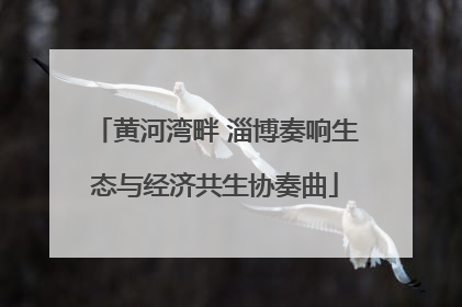 黄河湾畔 淄博奏响生态与经济共生协奏曲