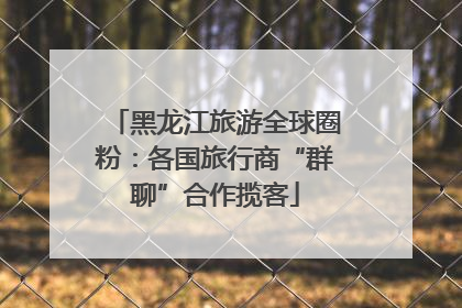 黑龙江旅游全球圈粉：各国旅行商“群聊”合作揽客