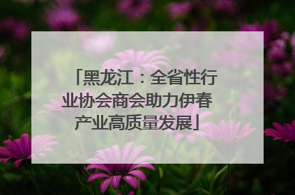 黑龙江：全省性行业协会商会助力伊春产业高质量发展