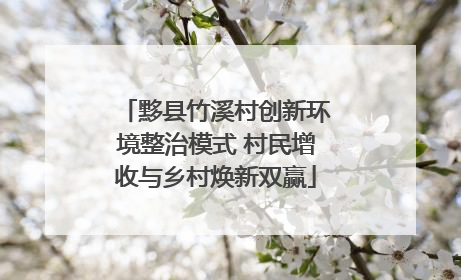黟县竹溪村创新环境整治模式 村民增收与乡村焕新双赢