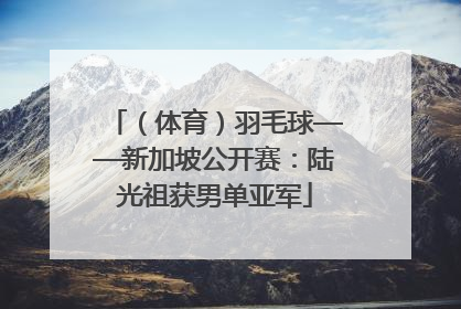 （体育）羽毛球——新加坡公开赛：陆光祖获男单亚军