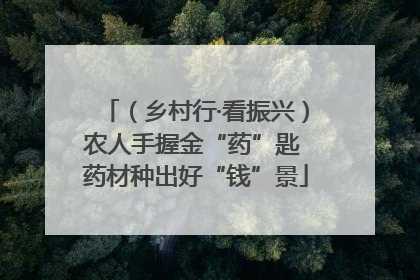 （乡村行·看振兴）农人手握金“药”匙 药材种出好“钱”景
