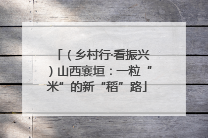 （乡村行·看振兴）山西襄垣：一粒“米”的新“稻”路
