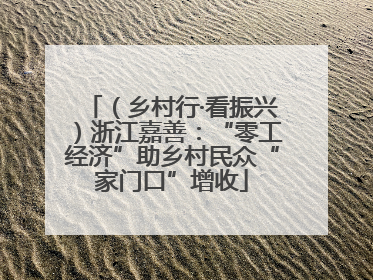 （乡村行·看振兴）浙江嘉善：“零工经济”助乡村民众“家门口”增收