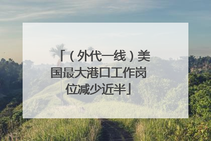 （外代一线）美国最大港口工作岗位减少近半