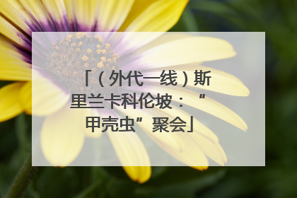 （外代一线）斯里兰卡科伦坡：“甲壳虫”聚会