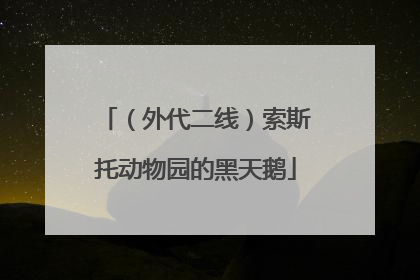 （外代二线）索斯托动物园的黑天鹅