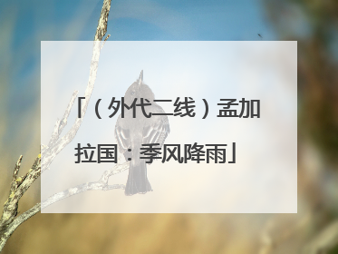 （外代二线）孟加拉国：季风降雨