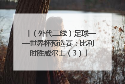 （外代二线）足球——世界杯预选赛：比利时胜威尔士（3）