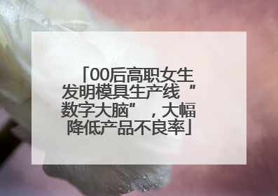 00后高职女生发明模具生产线“数字大脑”，大幅降低产品不良率