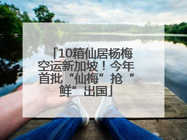 10箱仙居杨梅空运新加坡！今年首批“仙梅”抢“鲜”出国