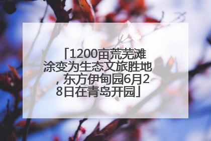 1200亩荒芜滩涂变为生态文旅胜地，东方伊甸园6月28日在青岛开园
