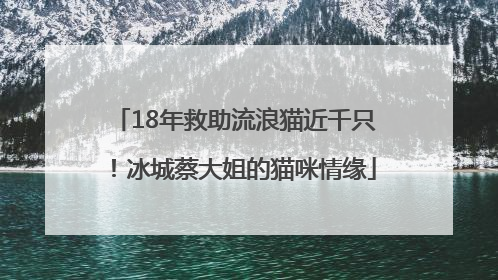 18年救助流浪猫近千只！冰城蔡大姐的猫咪情缘