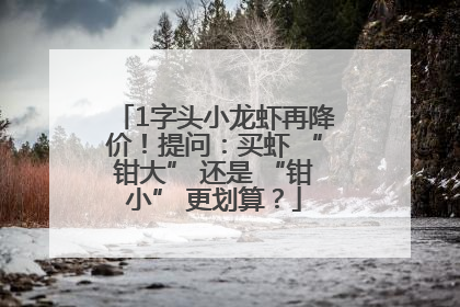 1字头小龙虾再降价！提问：买虾 “钳大” 还是 “钳小” 更划算？