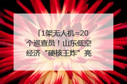 1架无人机=20个巡查员！山东低空经济“硬核王炸”亮相青岛，下一个万亿赛道藏在这里