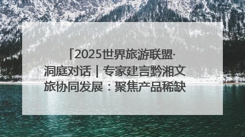 2025世界旅游联盟·洞庭对话｜专家建言黔湘文旅协同发展：聚焦产品稀缺性 深化区域经验共享