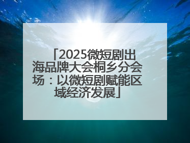 2025微短剧出海品牌大会桐乡分会场：以微短剧赋能区域经济发展
