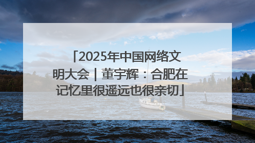 2025年中国网络文明大会｜董宇辉：合肥在记忆里很遥远也很亲切