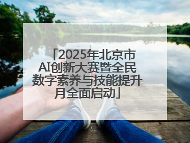 2025年北京市AI创新大赛暨全民数字素养与技能提升月全面启动