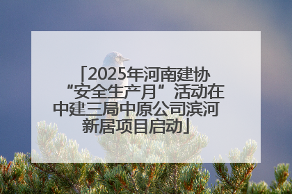 2025年河南建协“安全生产月”活动在中建三局中原公司滨河新居项目启动