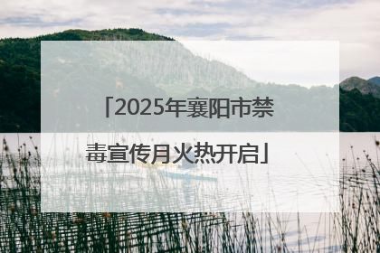 2025年襄阳市禁毒宣传月火热开启