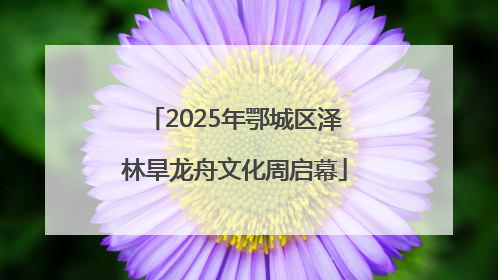 2025年鄂城区泽林旱龙舟文化周启幕